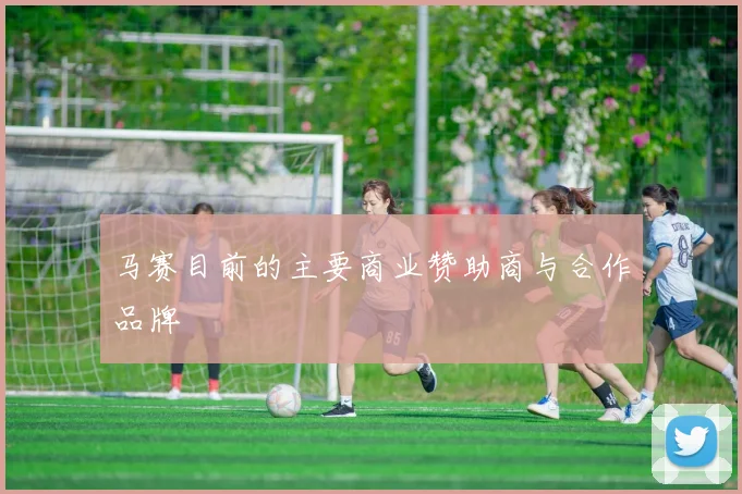 马赛目前的主要商业赞助商与合作品牌