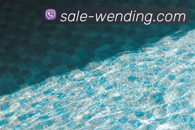 广东CBA球队名字及球队文化全面介绍